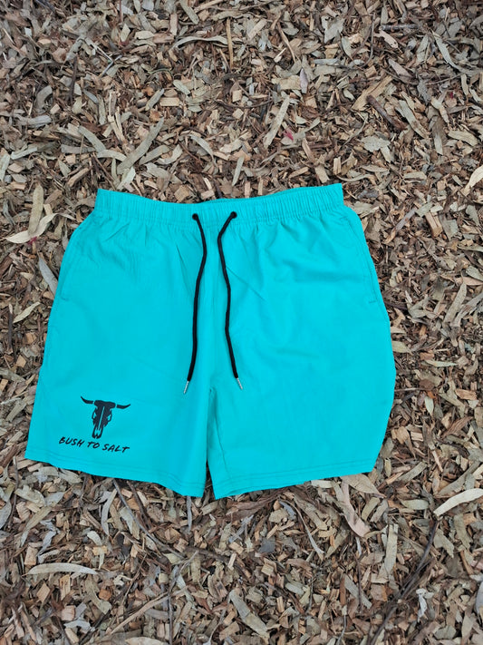 Mens Board Shorts - Turqouise